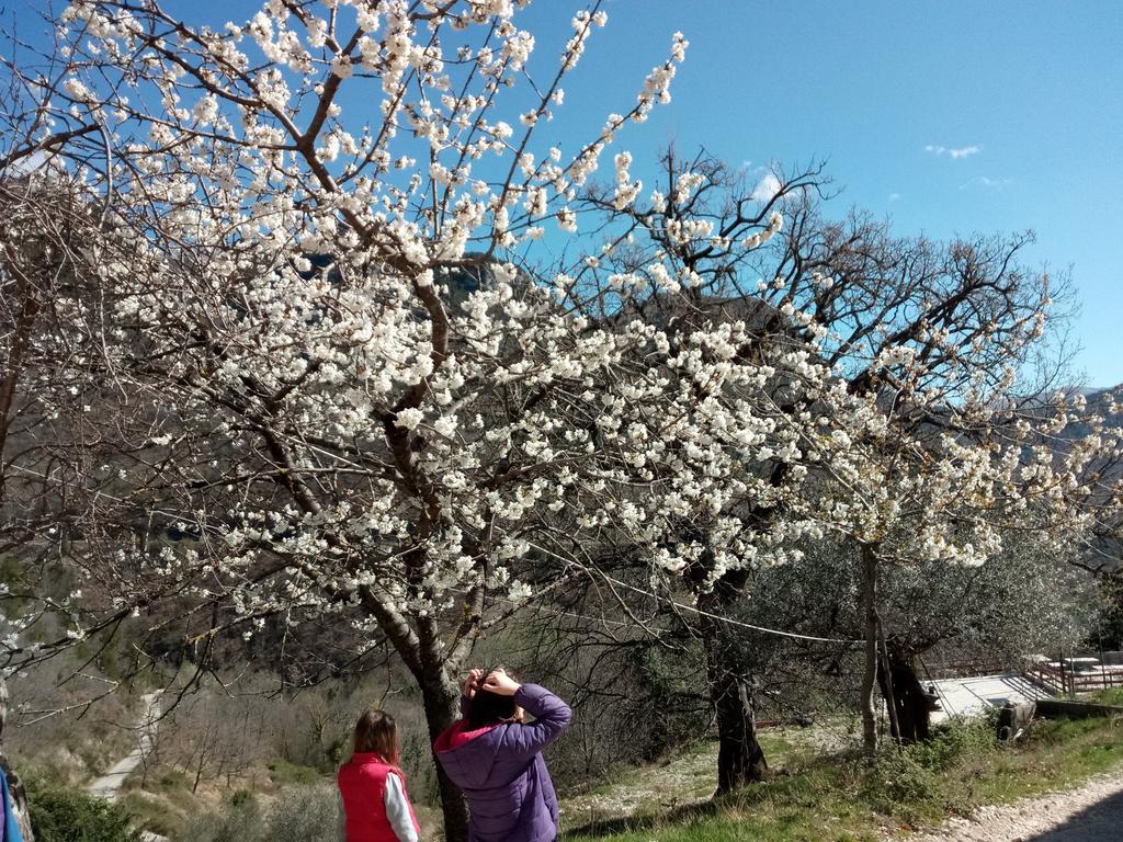 Valle Del Belvedere Spoleto Bagian luar foto